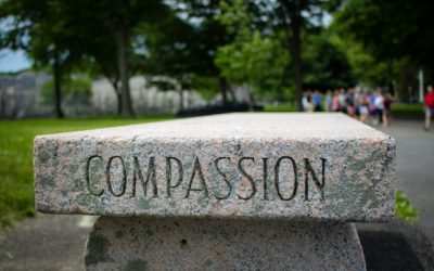 Compassion and Kindness